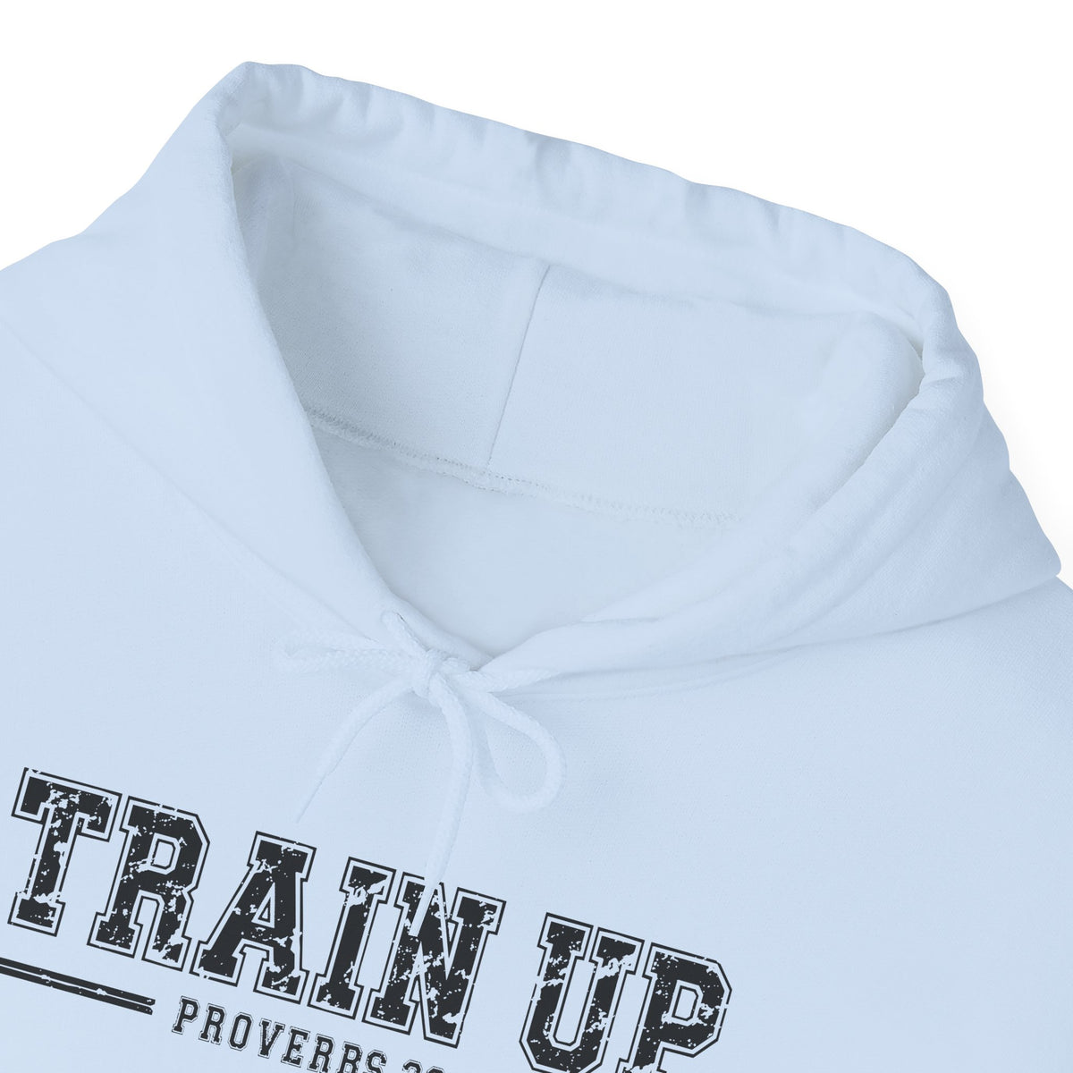 Hoodie — "Train Up" Proverbs 22:6 Pullover