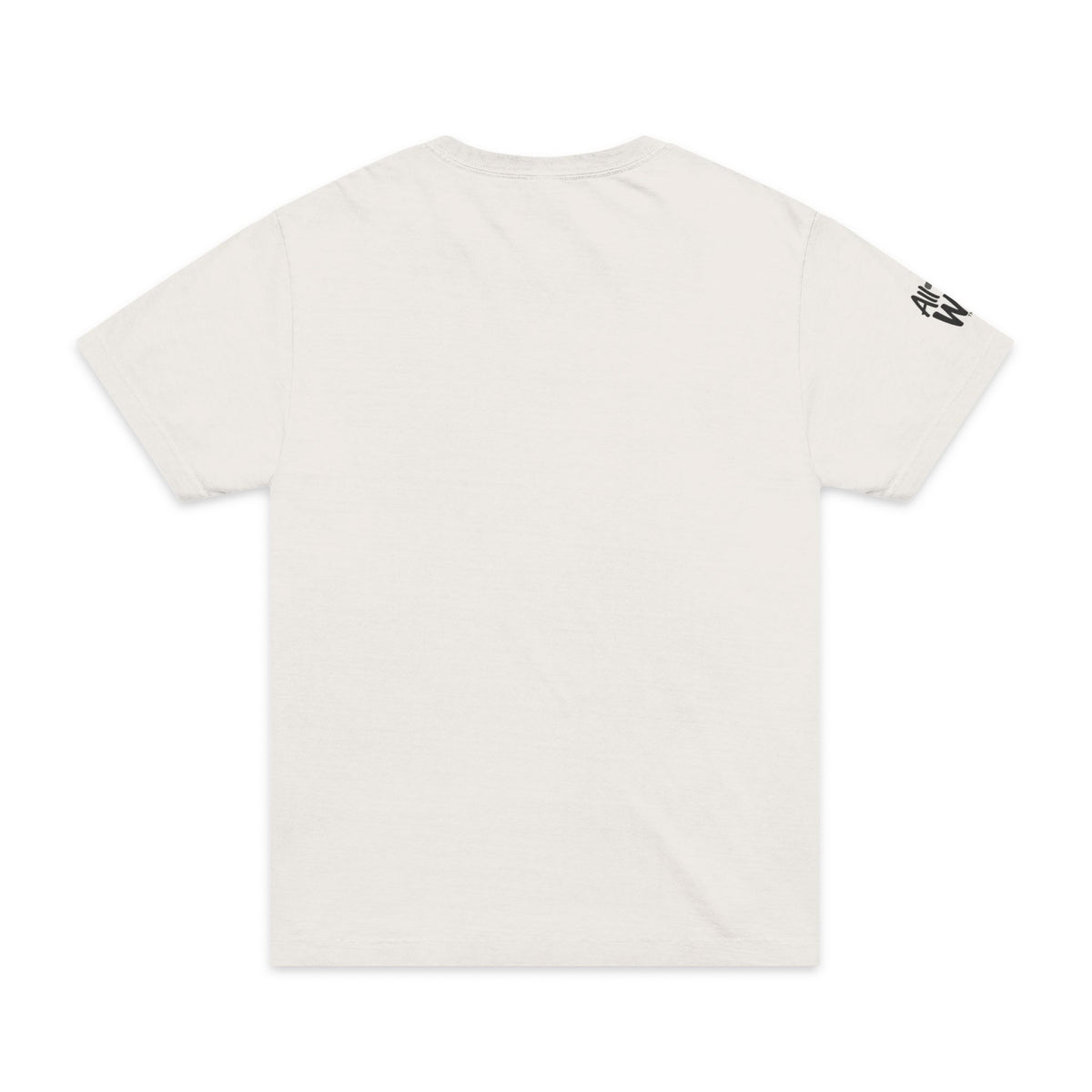 Oversized "Free Indeed" John 8:36 T-Shirt — Inspirational Christian  Tee (Bella+Canvas 4810)