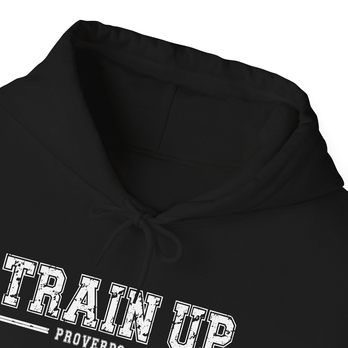 Hoodie — "Train Up" Proverbs 22:6 Pullover