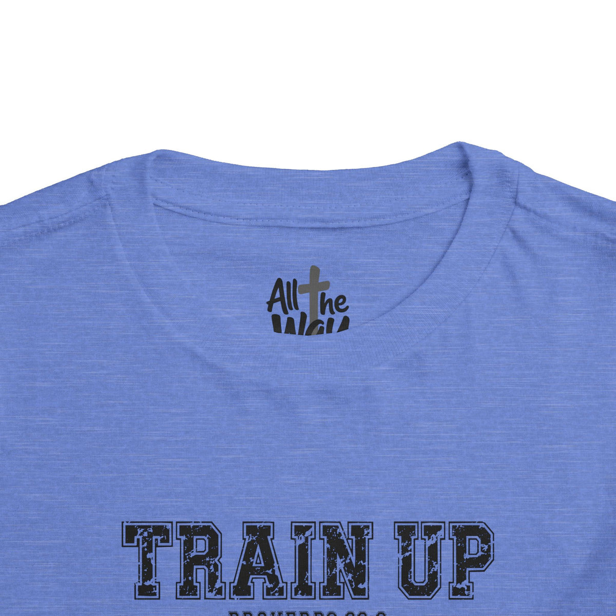 Toddler "TRAIN UP" Proverbs 22:6 Tee — Faith-Based Kids Shirt