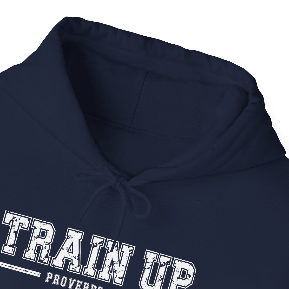 Hoodie — "Train Up" Proverbs 22:6 Pullover