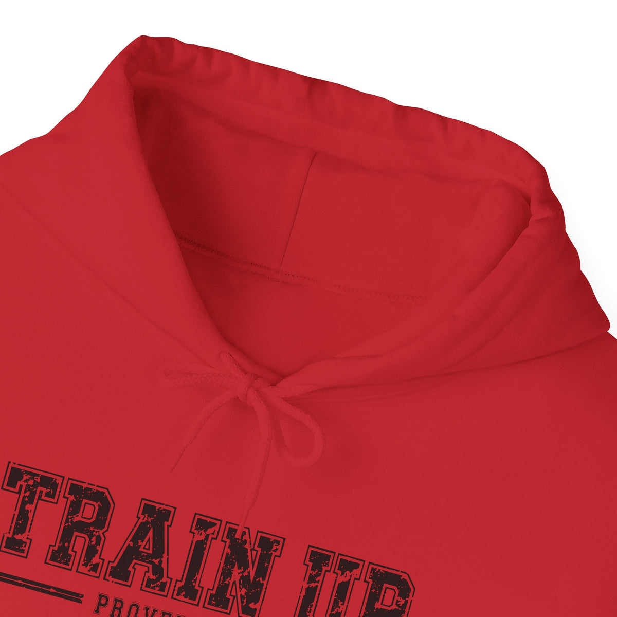 Hoodie — "Train Up" Proverbs 22:6 Pullover