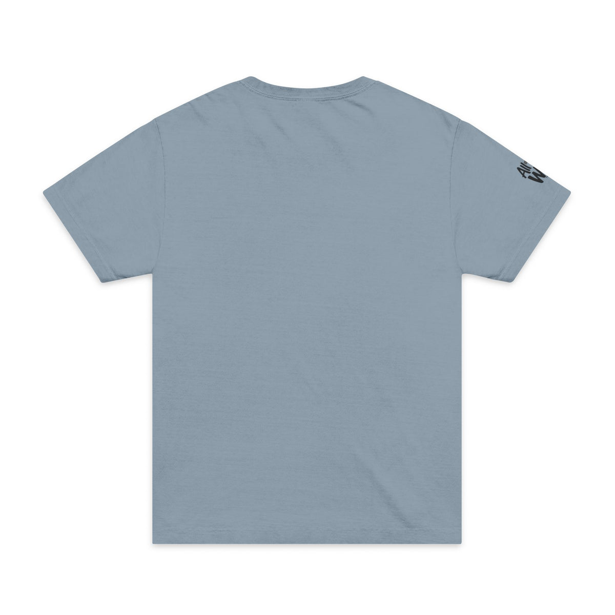 Oversized Equipped 2 Timothy 3:17 T-Shirt —  Christian Tee (Bella+Canvas 4810)